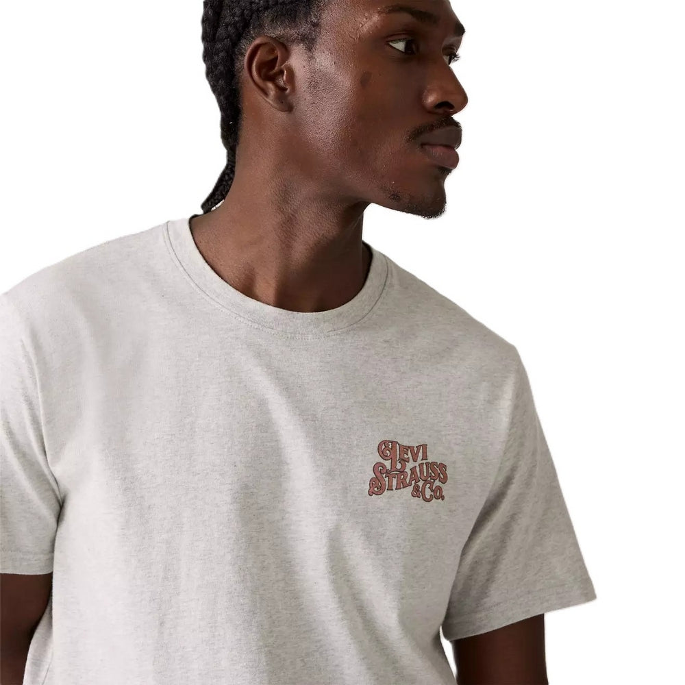 Remera Levis Ss Relaxed Fit De Hombre