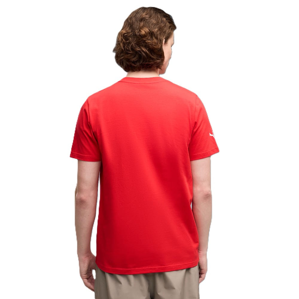 63700302-4.jpg
