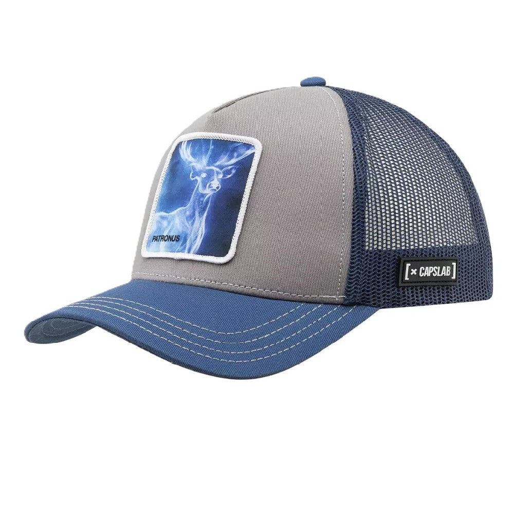 Gorra Capslab Gorra Capslab Harry Potter - Pat2 Unisex