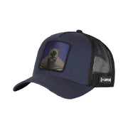 Gorra Capslab Casquette Trucker Capslab Dc Comics Unisex