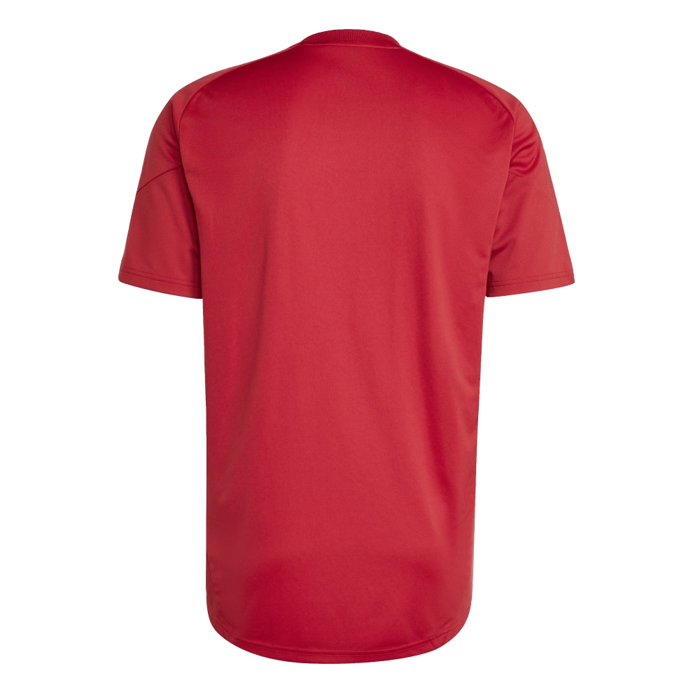 Camiseta Adidas River Plate Tr Jsy De Hombre