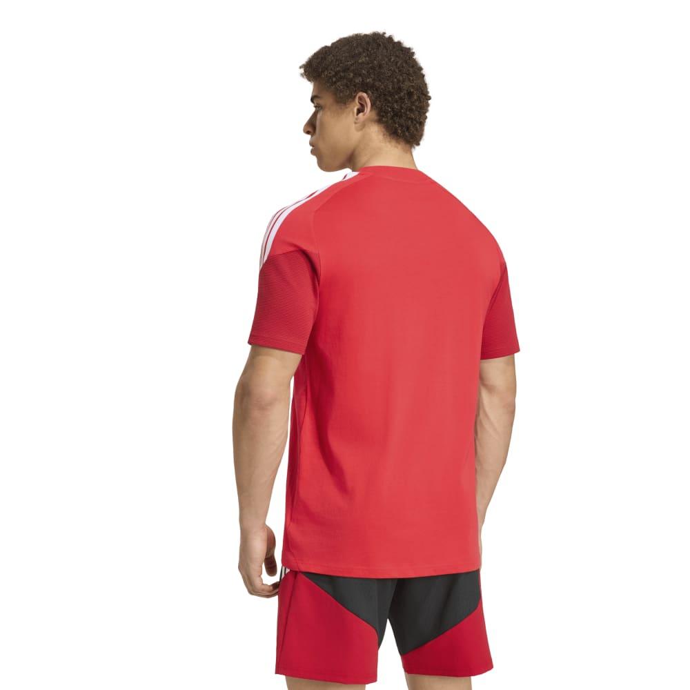 Remera Adidas Rp Tee Hombre