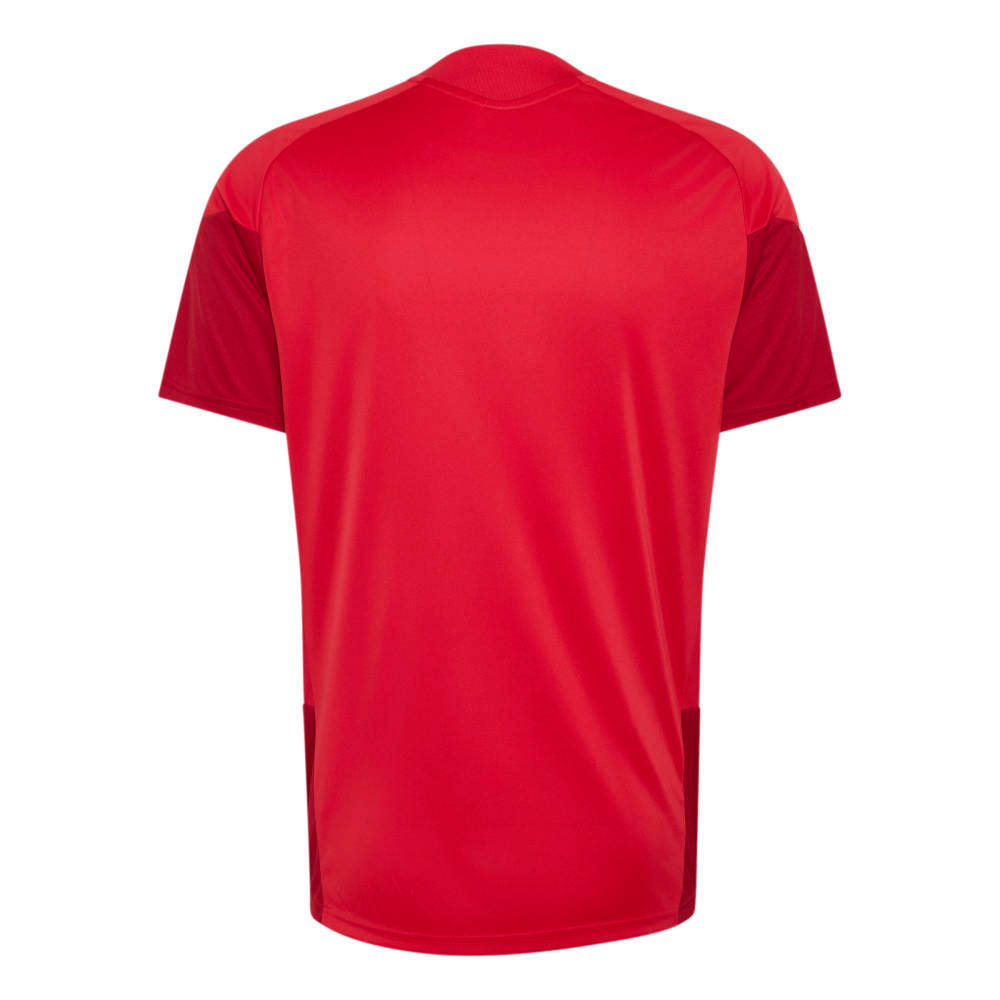 Camiseta Adidas Rp Tr Jsy Hombre