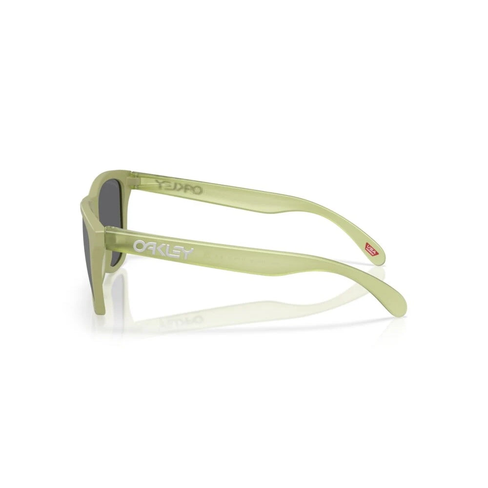 Lentes Oakley Frogskins Matte Fern Prizm Black Polarized Unisex