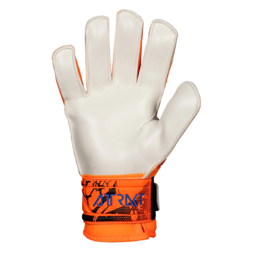 Guante Reusch Guante Semi-Pro Attrakt Basic Unisex