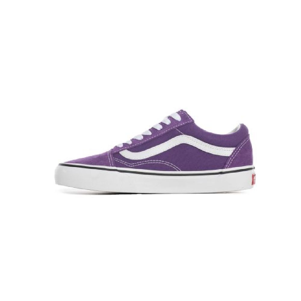 Zapatilla Vans Old Skool de Hombre